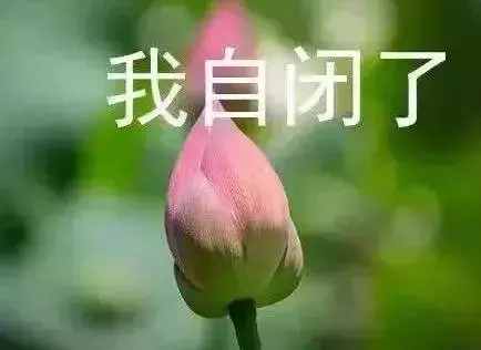 父母的装修日记，看到房子的我眼泪掉下来