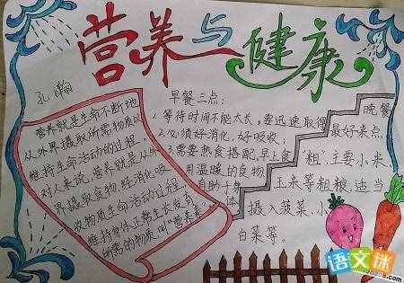 小学生关于营养早餐手抄报