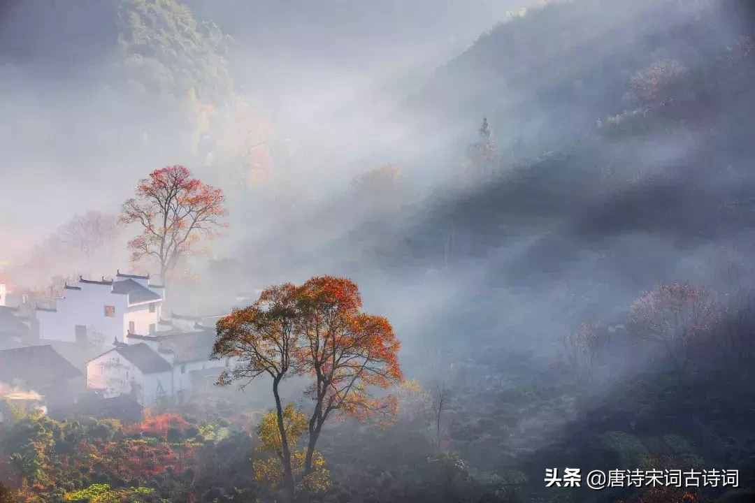 学一个成语记一首诗词，领略经典的魅力！
