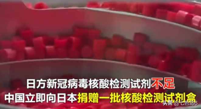 “投我以木桃，报之以琼瑶”出自何处？