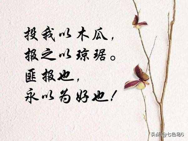 “投我以木桃，报之以琼瑶”出自何处？