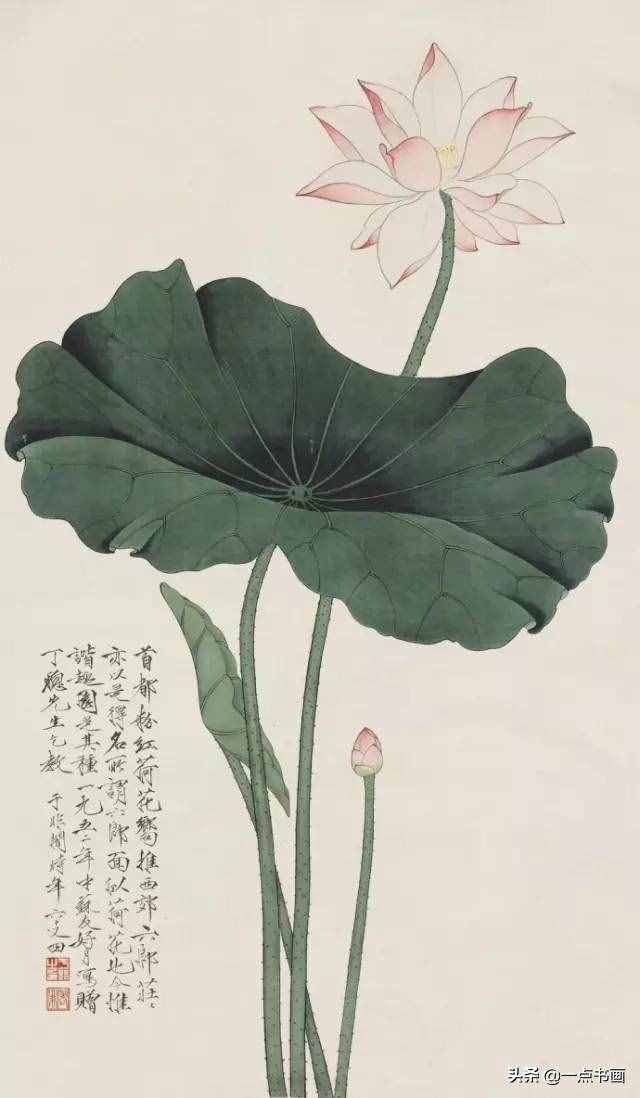 大师于非闇的工笔荷花，绝美