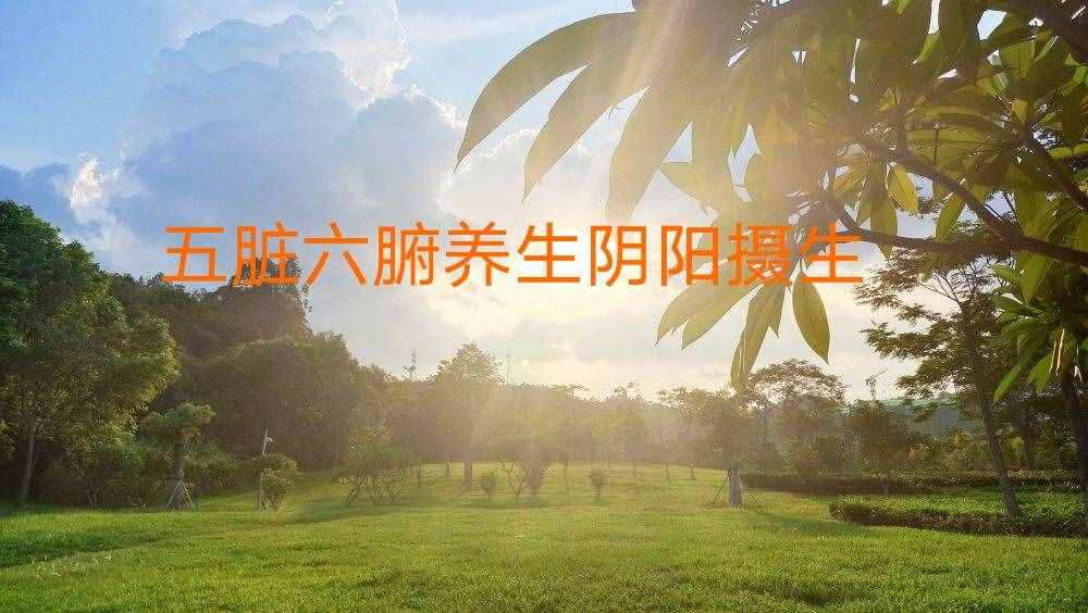 五脏六腑养生 阴阳摄生