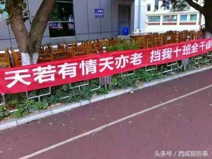那些运动会上的横幅标语，一个比一个奇怪