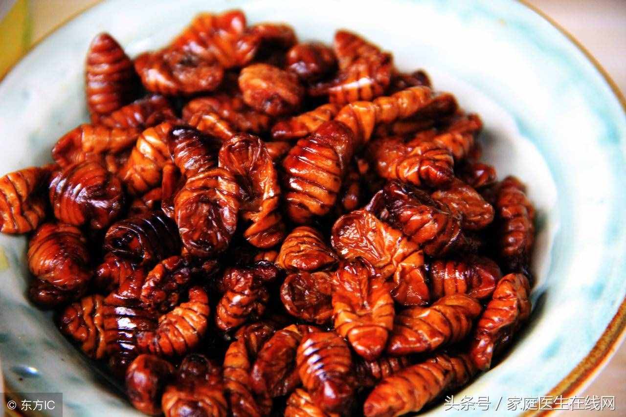 蚕蛹虽卖相不好，这5大营养价值，一般的食物都比不上