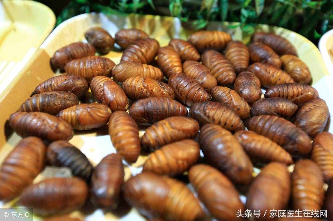 蚕蛹虽卖相不好，这5大营养价值，一般的食物都比不上