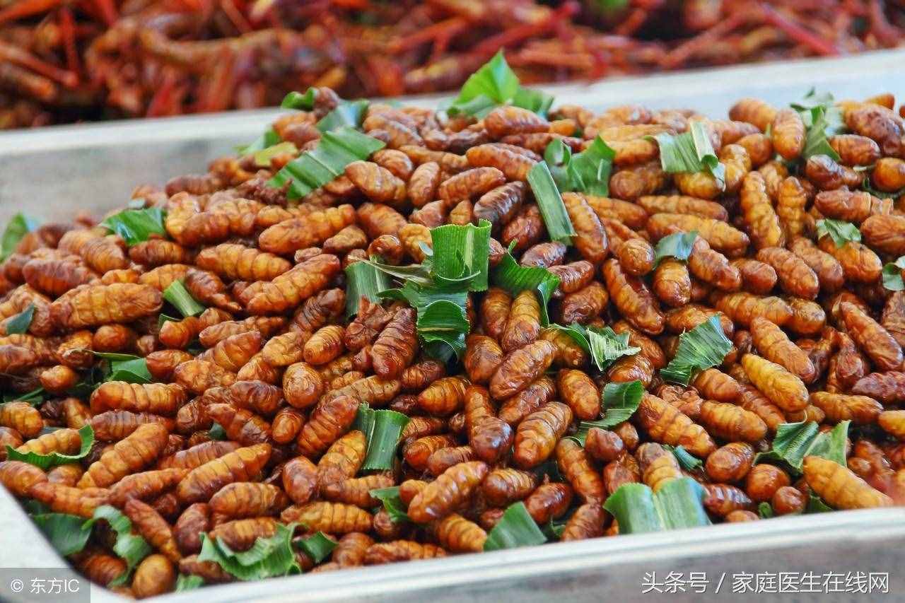 蚕蛹虽卖相不好，这5大营养价值，一般的食物都比不上
