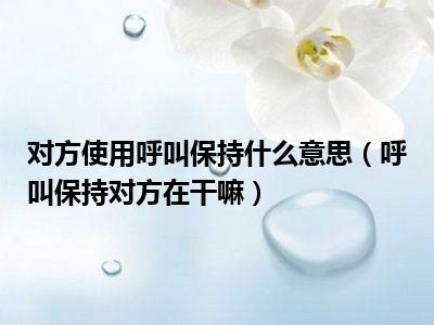 对方使用呼叫保持什么意思，对方使用呼叫保持什么意思啊