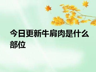 今日更新牛肩肉是什么部位