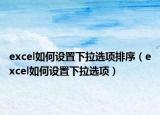 excel如何设置下拉选项排序（excel如何设置下拉选项）