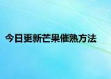 今日更新芒果催熟方法