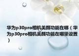 华为p30pro相机美颜功能在哪（华为p30pro相机美颜功能在哪里设置）