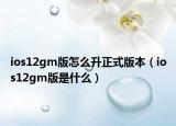 ios12gm版怎么升正式版本（ios12gm版是什么）