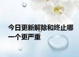 今日更新解除和终止哪一个更严重