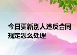 今日更新别人违反合同规定怎么处理