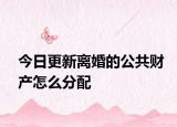 今日更新离婚的公共财产怎么分配