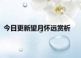 今日更新望月怀远赏析