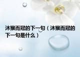 沐猴而冠的下一句（沐猴而冠的下一句是什么）