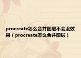 procreate怎么合并图层不会没效果（procreate怎么合并图层）