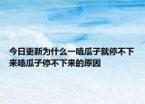 今日更新为什么一嗑瓜子就停不下来嗑瓜子停不下来的原因