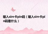 输入sim卡pin码（输入sim卡pin码是什么）