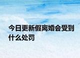 今日更新假离婚会受到什么处罚