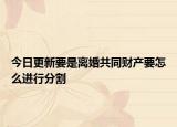 今日更新要是离婚共同财产要怎么进行分割