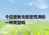 今日更新戈壁是荒漠的一种类型吗