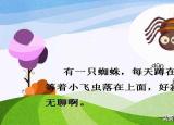 今日更新蜘蛛开店续编故事（续写蜘蛛开店）
