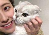 今日更新吸猫什么意思（吸猫什么意思）