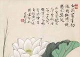 今日更新工笔画荷花图片（大师于非闇的工笔荷花绝美）