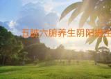 今日更新中医五脏养生（五脏六腑养生）