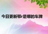 今日更新鄂r是哪的车牌