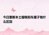 今日更新本土樱桃和车厘子有什么区别