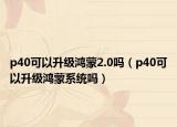 p40可以升级鸿蒙2.0吗（p40可以升级鸿蒙系统吗）