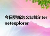 今日更新怎么卸载internetexplorer