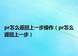 pr怎么返回上一步操作（pr怎么返回上一步）
