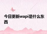 今日更新wapi是什么东西
