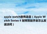 apple watch耐克表盘（Apple Watch Series 4 耐克智能手表怎么发送涂鸦）
