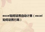 excel如何设置自动计算（excel如何设置行高）