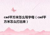 cad平方米怎么写字母（cad平方米怎么打出来）