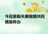 今日更新夫妻离婚共同债务咋办