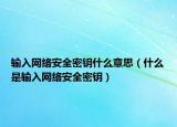 输入网络安全密钥什么意思（什么是输入网络安全密钥）