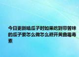 今日更新嗑瓜子时如果吃到带苦味的瓜子要怎么做怎么避开黄曲霉毒素