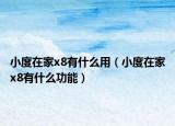 小度在家x8有什么用（小度在家x8有什么功能）