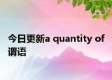 今日更新a quantity of 谓语