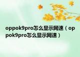 oppok9pro怎么显示网速（oppok9pro怎么显示网速）
