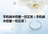 手机掉水但是一切正常（手机掉水但是一切正常）