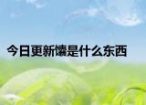 今日更新馕是什么东西