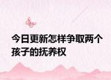 今日更新怎样争取两个孩子的抚养权